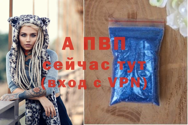 PSILOCYBIN Верея