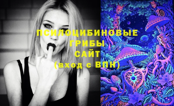 ECSTASY Волоколамск