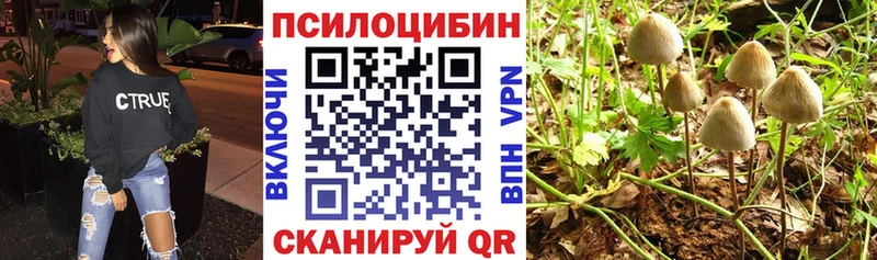 дарнет шоп  Джанкой  Галлюциногенные грибы ЛСД 
